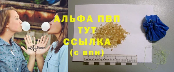 дживик Инсар
