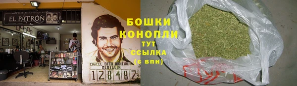 ECSTASY Краснослободск