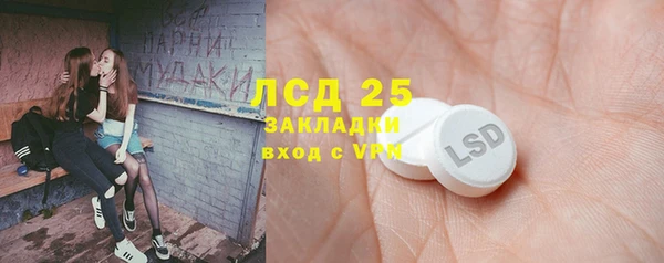 тгк Каменка